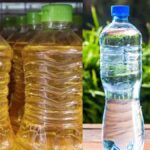 Preise explodieren: Palmöl und Wasser deutlich teurer