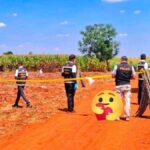 Teenagerin stellt sich nach tödlichem Angriff