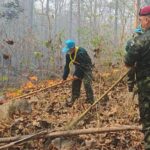 Thailand in Flammen: Rekordzahl an Bränden