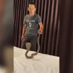 Horror im Hotel: Kobra kriecht über schlafenden Touristen wb-20260328-150034