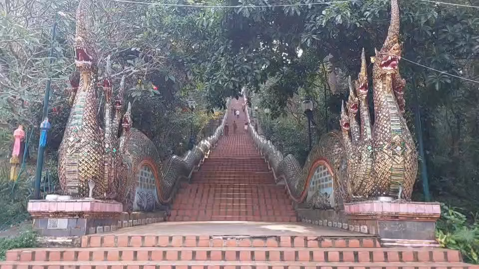 80 Prozent weniger Besucher wegen Smog