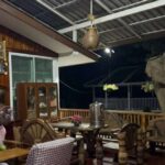 Wilder Elefant stürmt Haus und plündert Küche Wilder Elefant stürmt Haus und plündert Küche