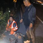 Dreister Diebstahl: Leitplanken zerlegt und auf der Flucht