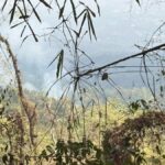 Feuer-Hotspots explodieren: Nord-Thailand besonders betroffen