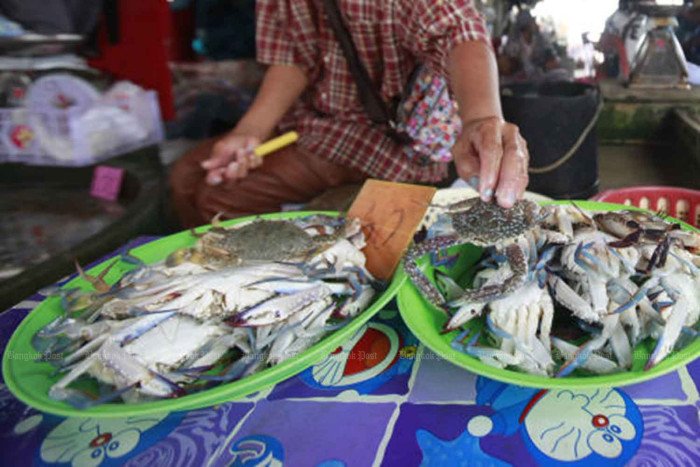 Hitzewarnung: Gefahr durch verdorbenes Essen