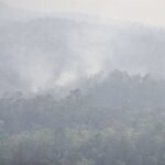 Katastrophen-Alarm: Smog zwingt Behörden zum Handeln Katastrophen-Alarm: Smog zwingt Behörden zum Handeln