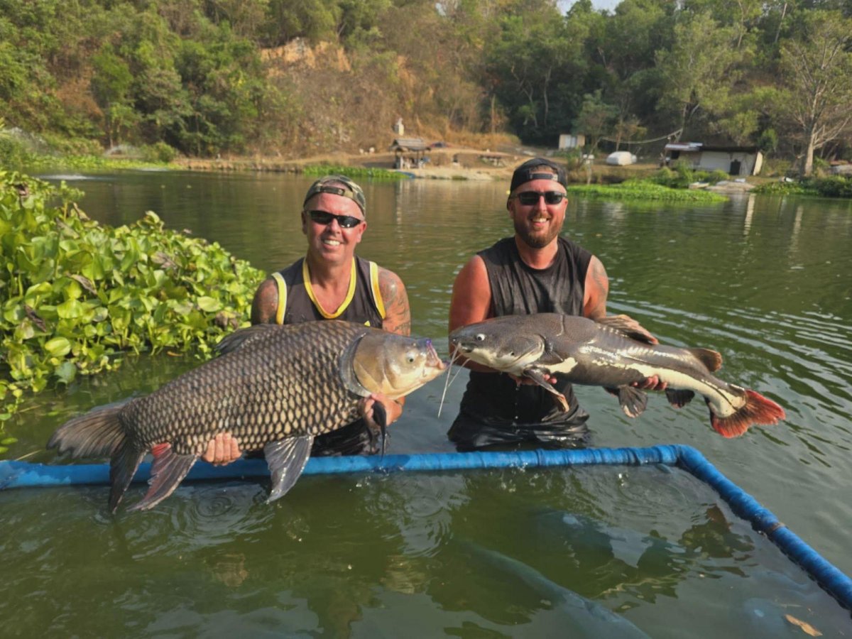 Monster-Fische bei Pattaya: Wasana Fishing Park als Familien-Hit