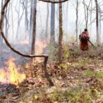 Neue Umweltregeln? Gesundheit gegen Profit