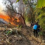 Rekord: Thailand meldet 5277 Feuer im Norden Rekord: Thailand meldet 5277 Feuer im Norden