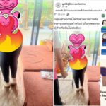 Shitstorm in Thailand: Retter betreten Haus mit Schuhen bei Notfall