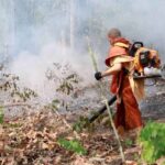 Smog in Thailand: 59 Provinzen mit erhöhten Feinstaubwerten