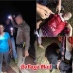 Streit eskaliert: Frau sticht auf polnischen Touristen ein