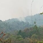 Striktes Feuer-Verbot: Harte Strafen für Bauern Striktes Feuer-Verbot: Harte Strafen für Bauern