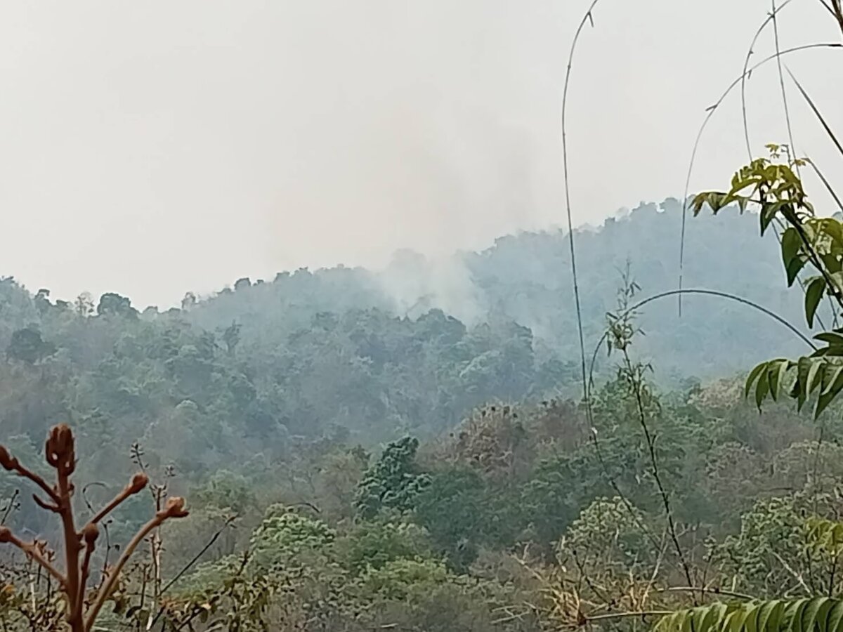 Striktes Feuer-Verbot: Harte Strafen für Bauern