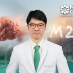 Studie aus Thailand: PM2.5 dringt bis ins Gehirn Studie aus Thailand: PM2.5 dringt bis ins Gehirn