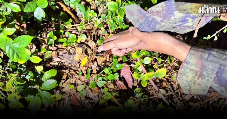 Teenie-Schützen feuern – 13-Jähriger schwer verletzt