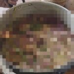 Udon Thani: Polizei entdeckt Hund im Kochtopf