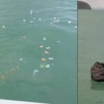 Umwelt-Eklat: Tour-Boot entsorgt Müll im Meer